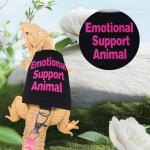 Bearded Dragon Adjustable Harness and Leash Set