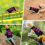 Bearded Dragon Adjustable Harness and Leash Set