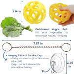 Interactive Feeder Ball for Bearded Dragons