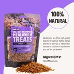 Fluker’s Calcium-Rich Mealworm Treats for Reptiles