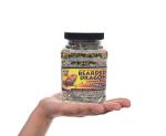 T-Rex Gourmet Bearded Dragon Food – Natural Blend