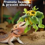 Interactive Feeder Ball for Bearded Dragons