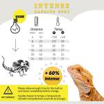 ReptiKing 100W Basking Light Bulb 2-Pack