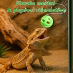 Interactive Feeder Ball for Bearded Dragons