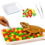 Bearded Dragon Enrichment Toy Kit with Balls