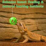 Interactive Feeder Ball for Bearded Dragons