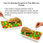 Bearded Dragon Enrichment Toy Kit with Balls