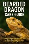 Bearded Dragon Care: Beginner to Expert Guide