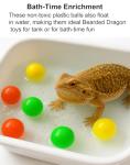 Bearded Dragon Enrichment Toy Kit with Balls