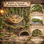 10 PCS Bearded Dragon Tank Accessories Kit