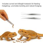 Bearded Dragon Enrichment Toy Kit with Balls