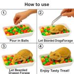 Bearded Dragon Enrichment Toy Kit with Balls