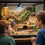 10 PCS Bearded Dragon Tank Accessories Kit