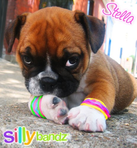 Princess Silly Bandz - 24 Fun Bracelets