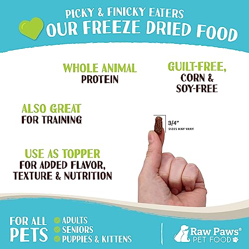 Raw Paws Freeze-Dried Chicken Dog Food 16oz