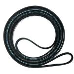 Zhehao Dryer Drum Belt for Maytag/Amana/Admiral