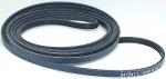 LG Dryer Poly-V Drive Belt by Edgewater Parts