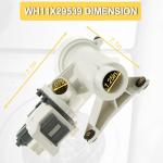 GE Washer Drain Pump and Filter Assembly Replacement