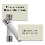 Wllead WE1X21975 Ceramic Fuse for GE Dryers