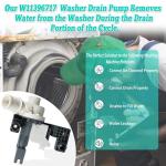 Washer Drain Pump W11396717 W11263349 for Whirlpool