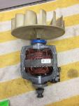 Whirlpool Maytag Dryer Motor W10396032 279827
