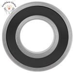 Samsung Washer Tub Spin Ball Bearings