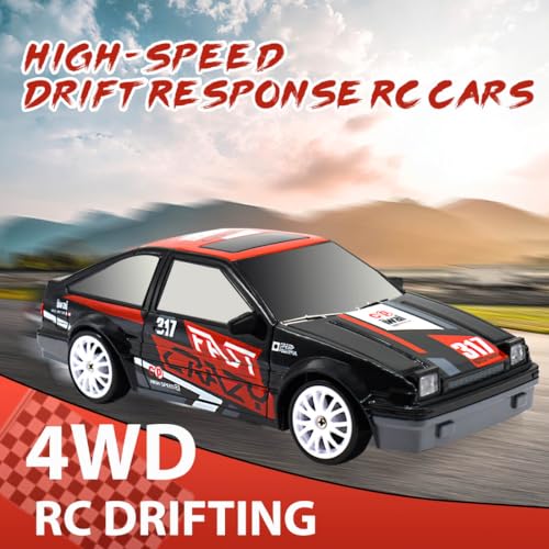 AGNEVE 1:24 RC Drift Car with LED Lights