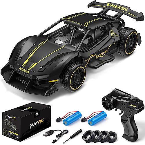 Dodoeleph 2.4GHz RC Drift Car with Batteries