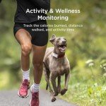 Petcube Dog GPS Tracker with Escape Alerts