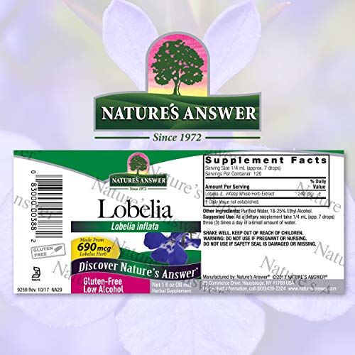 Lobelia Herb Supplement for Health and Wellbeing