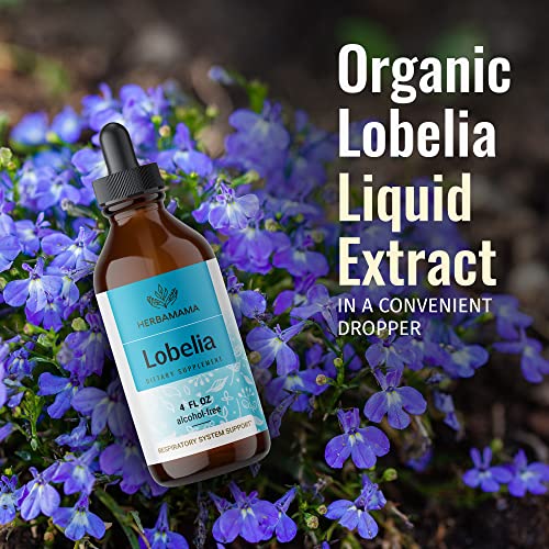 Organic Lobelia Tincture - Alcohol-Free Herbal Drops