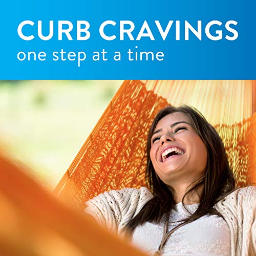 GoodSense Mini Mint Nicotine Lozenges - 81 Count