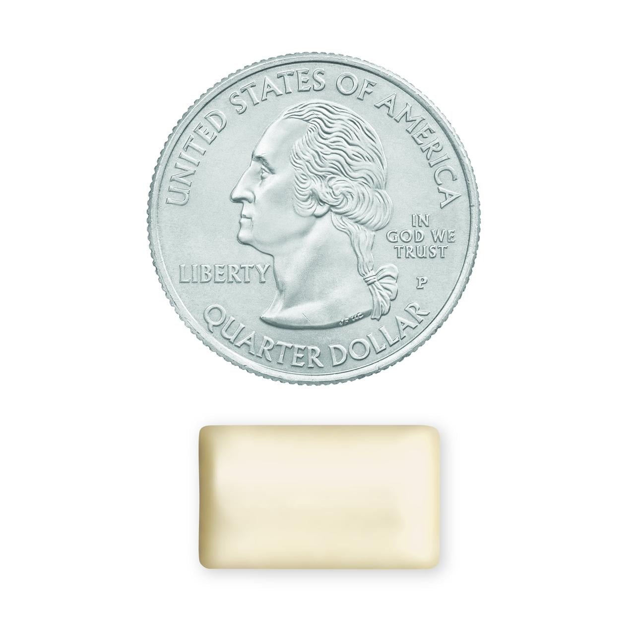 Equate Mint Flavor Nicotine Gum, 170 Count