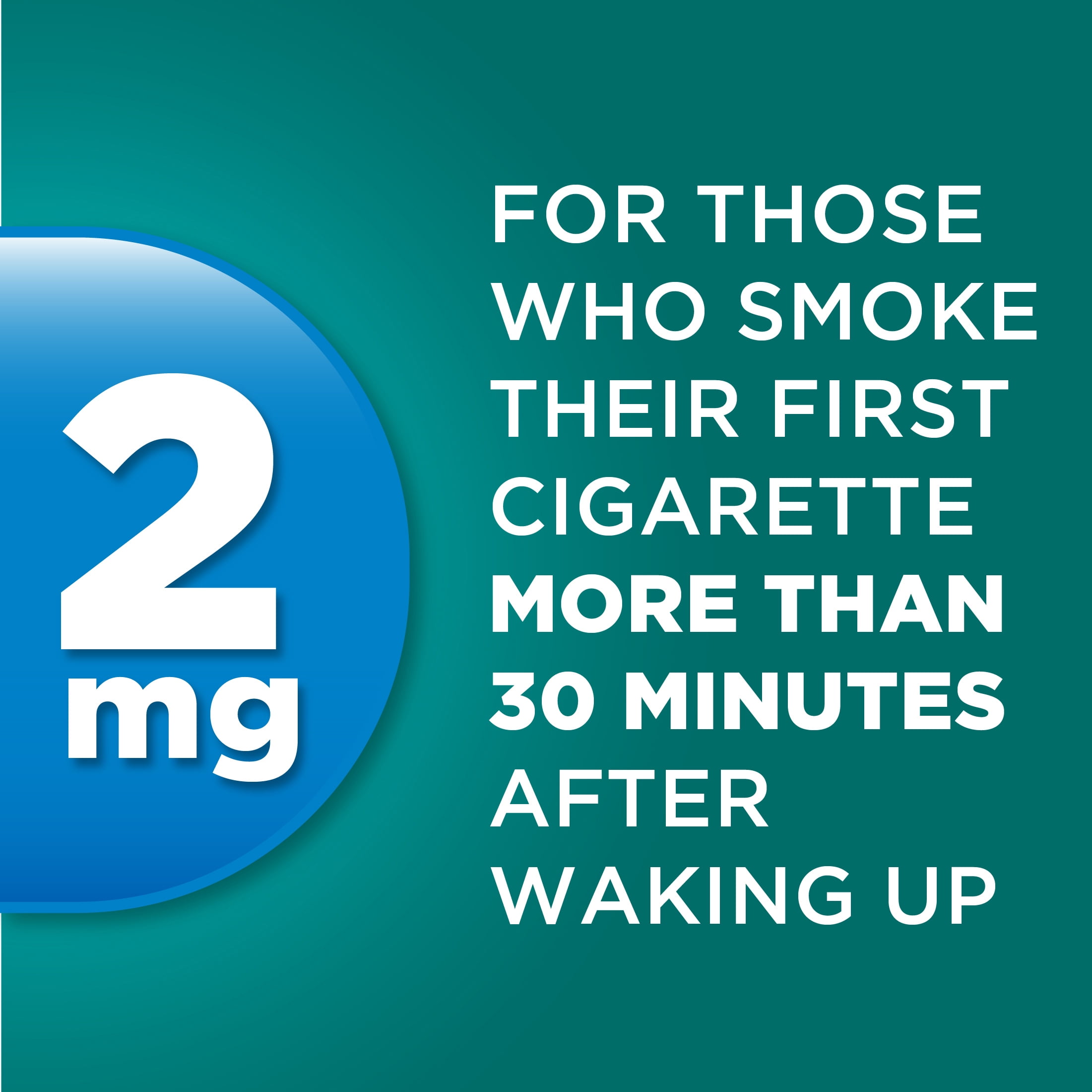 Equate Mint Flavor Nicotine Gum, 170 Count