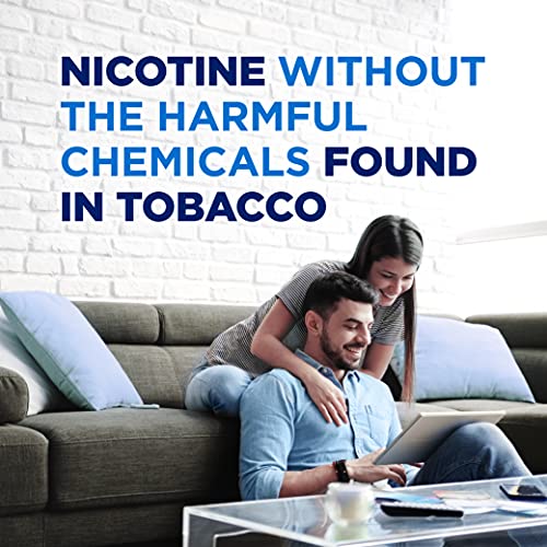 Ice Mint Nicotine Gum 4mg - 160 Count