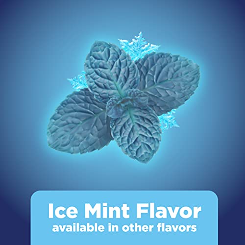 Ice Mint Nicotine Gum 4mg - 160 Count