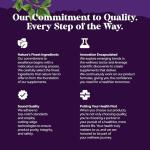 Kava Kava Root Extract 1000mg - Mood Support Capsules