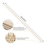 100pcs Natural Rattan Reed Diffuser Sticks