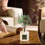 Eucalyptus & Moss Reed Diffuser Set