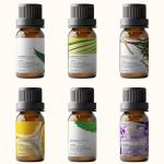 Pure Aroma Essential Oils Set - Top 6 Choices