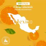 Sweet Orange Essential Oil - 118 ml Pure Bliss