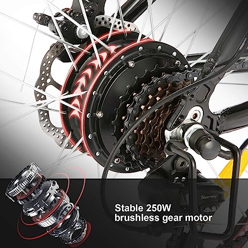 ANCHEER 2019 Upgraded Electric Mountain Bike, 250/500W 26'' Electric Bicycle with Removable 36V 8AH/12 Ah Lithium-Ion Battery for Adults, 21 Speed Shifter (Black_Upgraded)