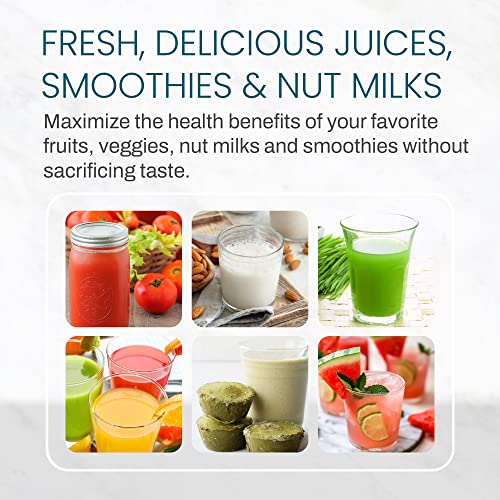 Elite Gourmet Compact Masticating Slow Juicer