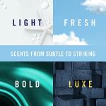 Febreze Car Air Freshener Clip - Fresh Scent 4 Pack