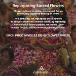 Palo Santo Incense Sticks – 80 Charcoal-Free Sticks