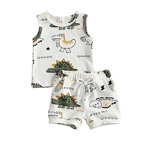 2pcs Summer Newborn Baby Boy Clothes Cute Dinosaur Letter Print Ribbed Sleeveless Tops Shorts Infant Boy Outfit Set by Ledy Champswiin
