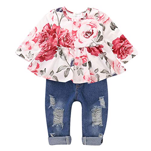 CARETOO Girls Clothes Outfits, Cute Baby Girl Floral Long Sleeve Pant Set Flower Ruffle Top Pink by 