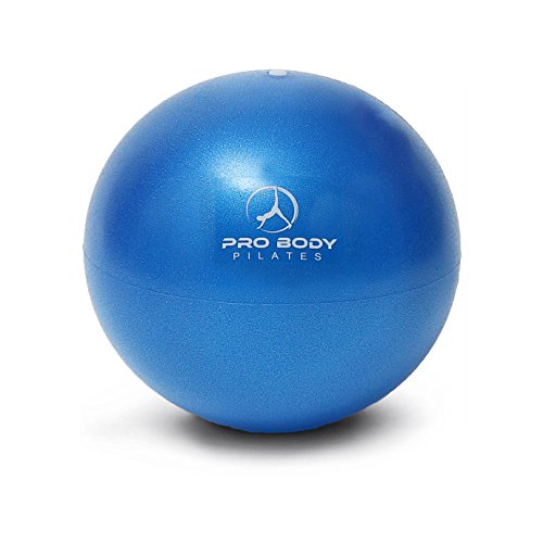 Mini Exercise Ball - 9 Inch Bender Ball for Stability, Barre, Pilates, Yoga, Core Training and Physical Therapy (Blue) from ProBody Pilates