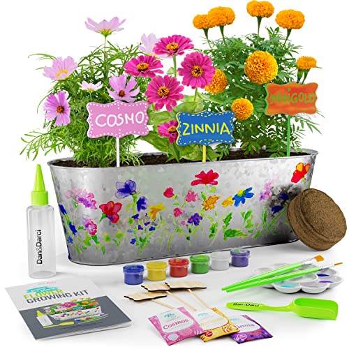 Dan&Darci Paint & Plant Flower Craft Kit for Kids - Best Birthday Crafts Gifts for Girls & Boys Age 5 6 7 8-12 Year Old Girl Gift - Children Gardening Kits, Art Projects Toys for Ages 5-12 Years by Dan&Darci