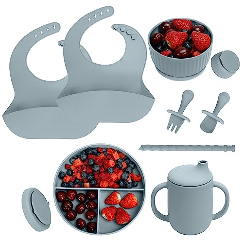 Baby Led Weaning Supplies - CSFICTS Baby Feeding Set - Silicone Suction Bowls, Divided Plates, Straw Sippy Cup - Toddler Self Feeding Eating Utensils Dishes Set with Bibs, Spoons, Fork - 6 Months by Shenzhen Ruidasen Technology Co., Ltd.